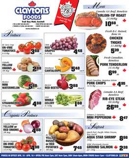 Our Coast Reporter Flyer